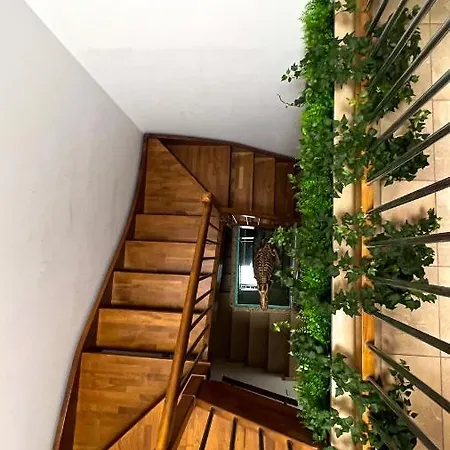 Appartamento T-rex ⭑⭑⭑⭑⭑ - Elegante Con Idromassaggio