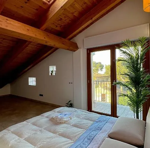 T-rex ⭑⭑⭑⭑⭑ - Elegante Con Idromassaggio