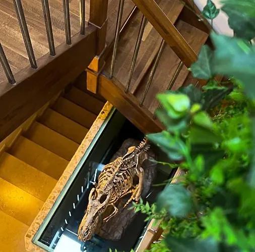 דירה T-rex ⭑⭑⭑⭑⭑ - Elegante Con Idromassaggio סילבי מרינה