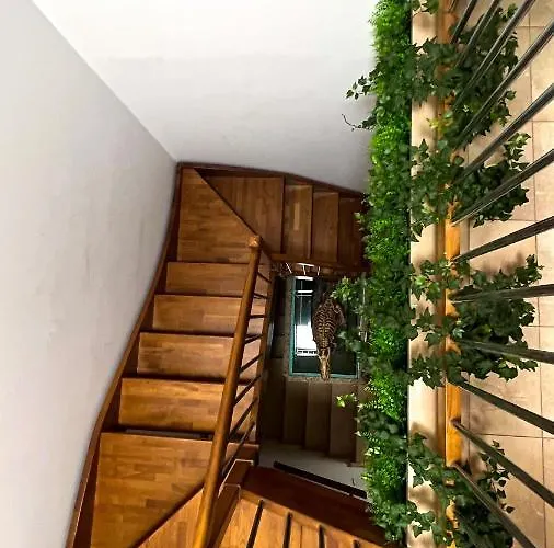 דירה T-rex ⭑⭑⭑⭑⭑ - Elegante Con Idromassaggio